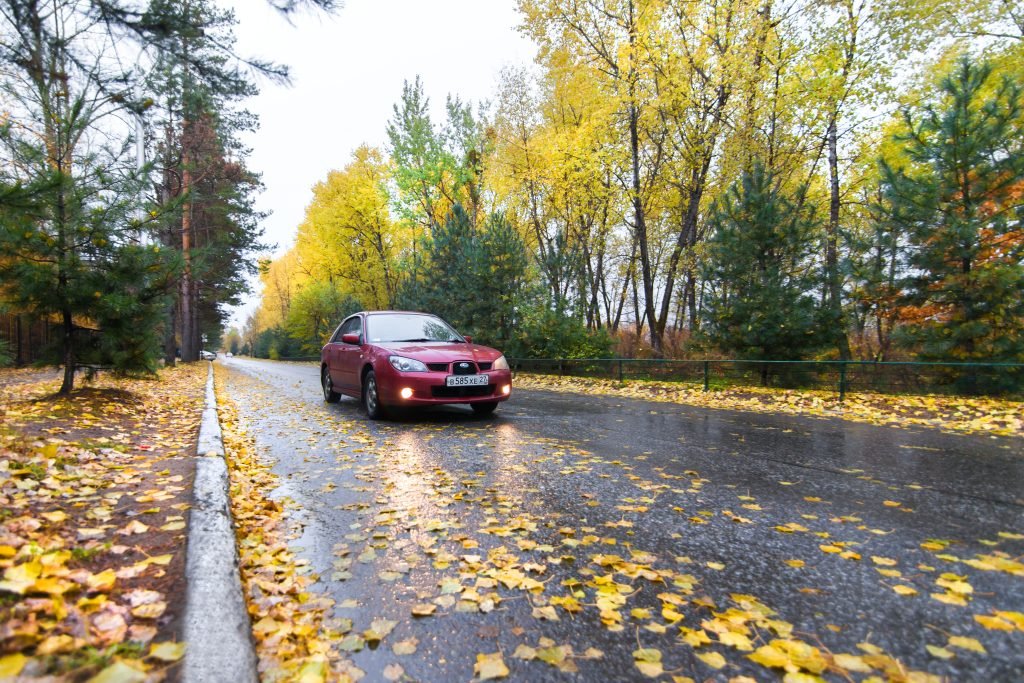 Fall Car Interior Prep Before Winter