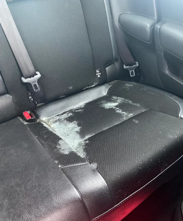 Mold and Mildew in Car Interiors During Winter Essential Tips