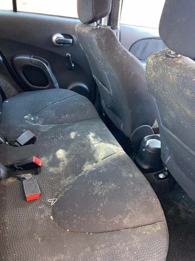 Mold and Mildew in Car Interiors During Winter Essential Tips