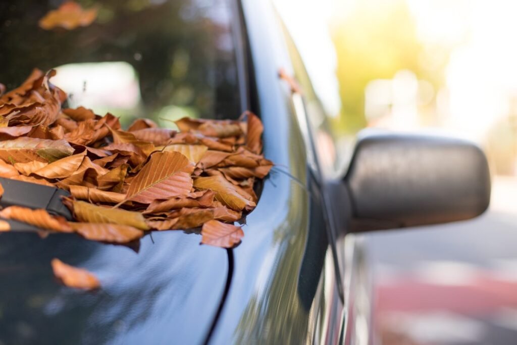 Car Detailing Laws in Indiana