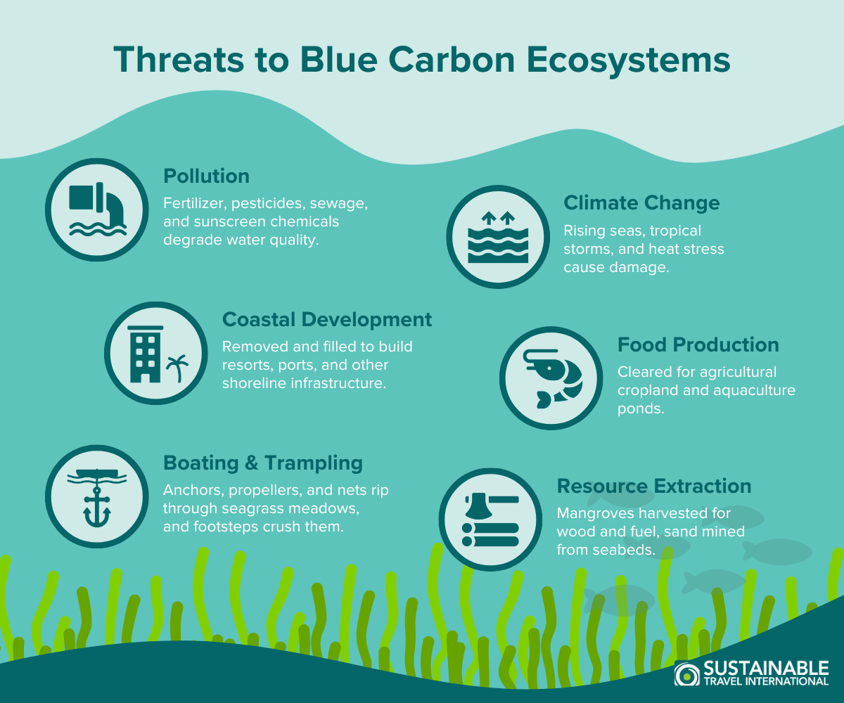 Environmental Factors That Damage Convertible Tops & How to Prevent Them: Ultimate Protection Guide