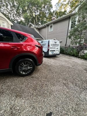 Car Detailing Laws in Kentucky: Essential Rules You Must Know