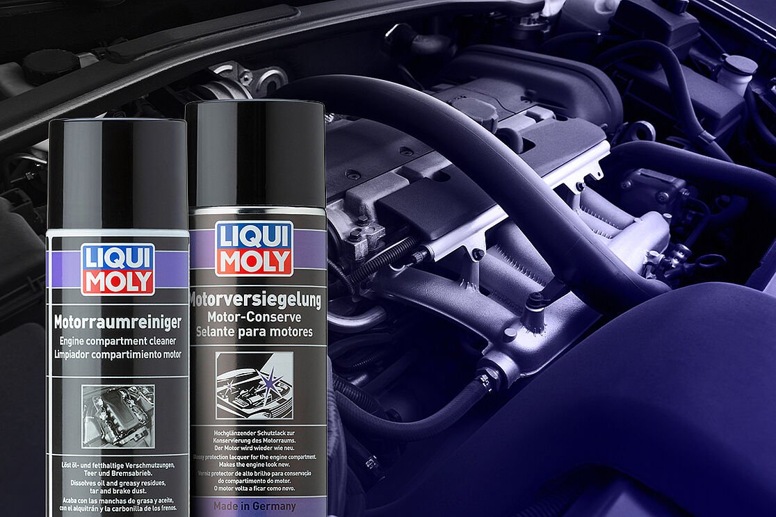 Why Engines Get Greasy And How to Clean Them: Expert Tips