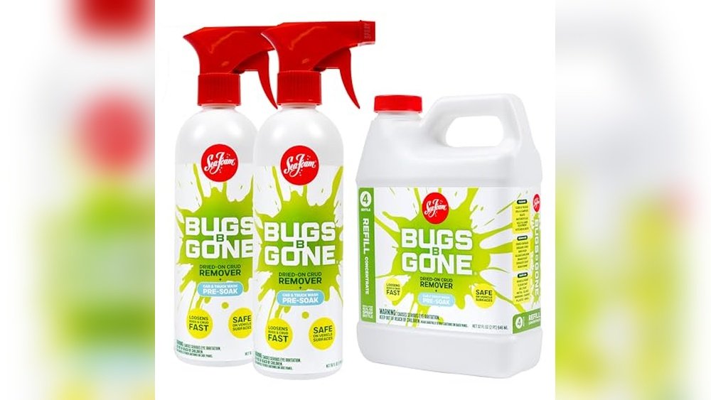 best foam bug remover sprays for trucks and rvs that really work