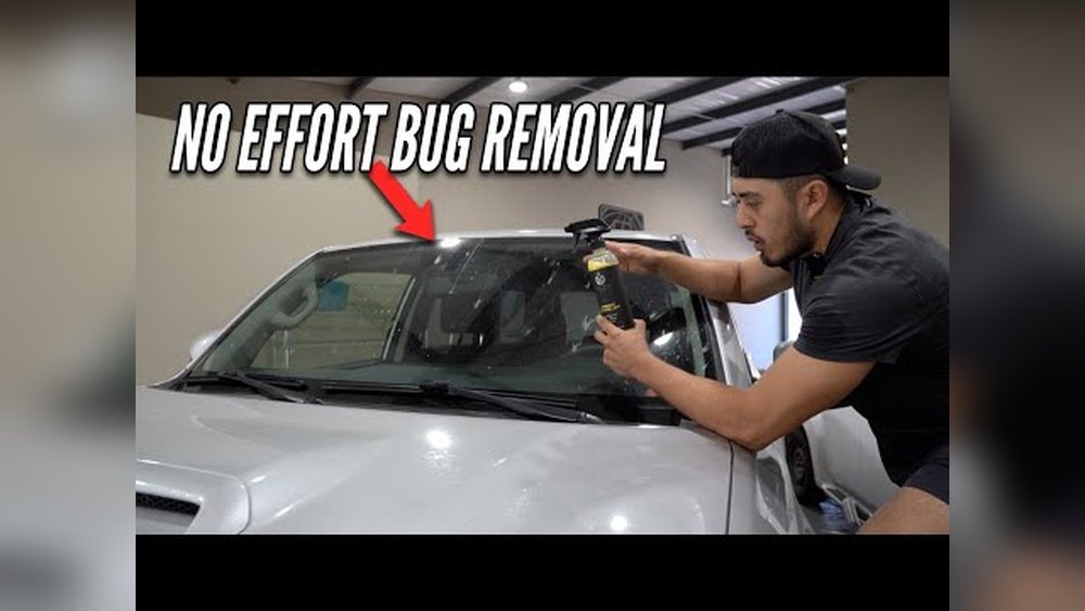Best Way to Remove Bugs from Windshields: Quick & Easy Tips