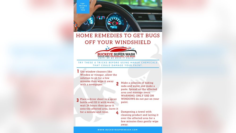 How To Get Bugs Off Your Windshield: Quick & Easy Tips