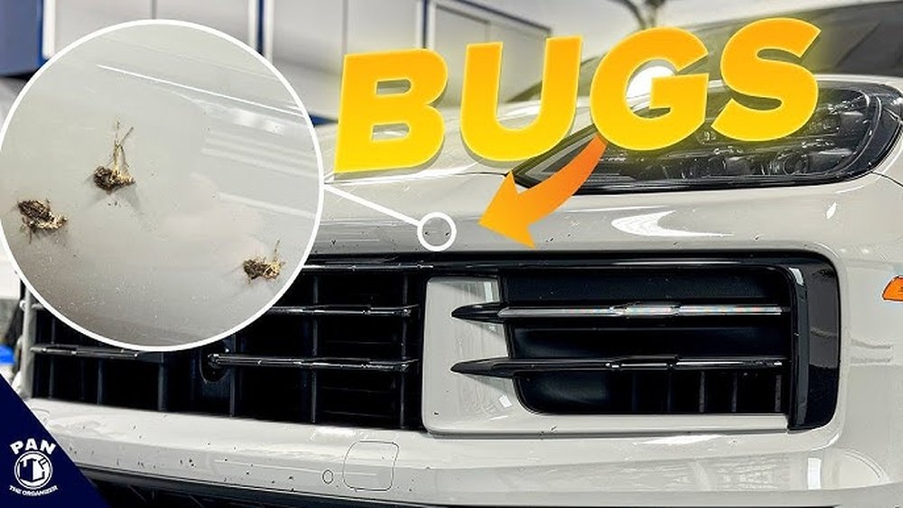 how to remove bugs from your car