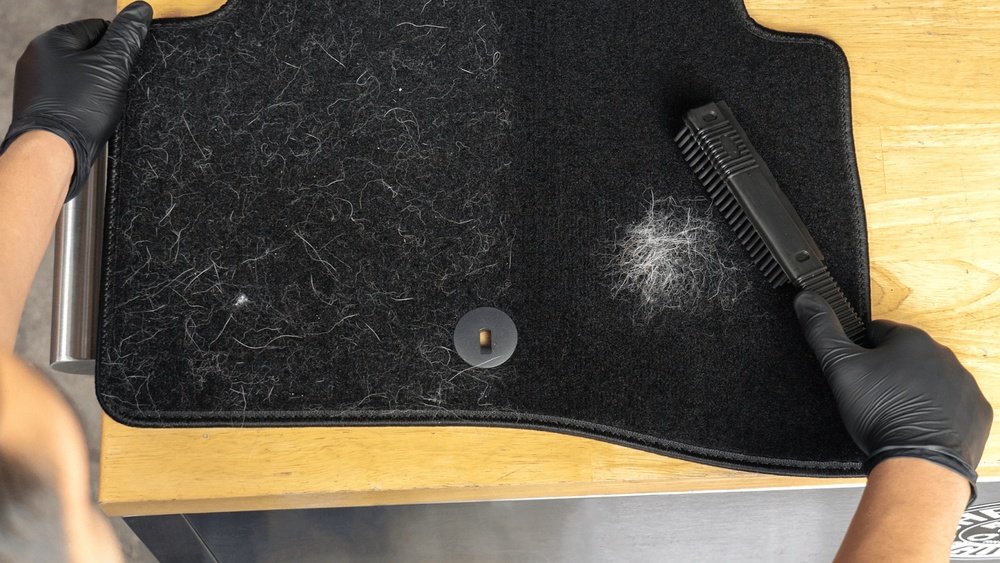 How To Remove Pet Hair From Your Car: Easy Tips That Work Fast