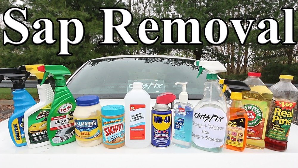 How To Remove Tree Sap From Car: Easy & Effective Cleaning Tips