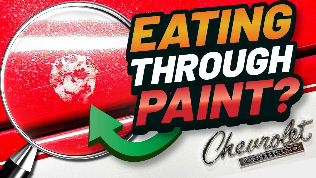 How To Remove Bird Dropping Etching From Car Paint: Expert Tips