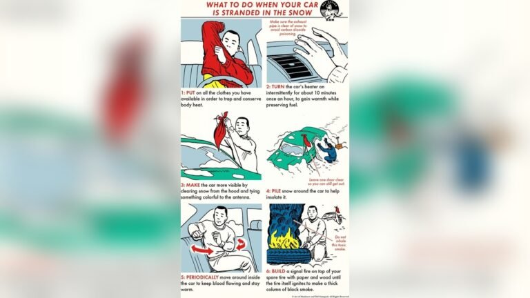 What To Do When Your Car Is Stuck In Snow: Essential Survival Tips ...